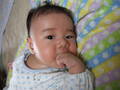 DSCF4530.jpg
