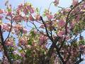 DSCF5926.jpg