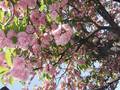DSCF5927.jpg