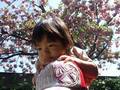 DSCF5930.jpg