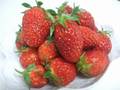 DSCF6005.jpg