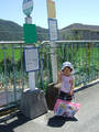DSCF6904.jpg
